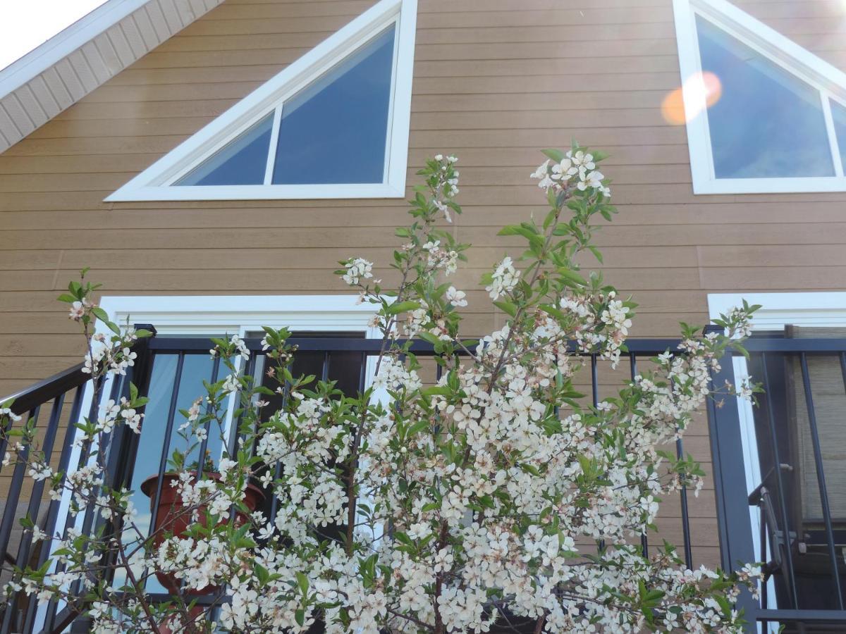 嘉洛小屋 Saint-Ferdinand 外观 照片